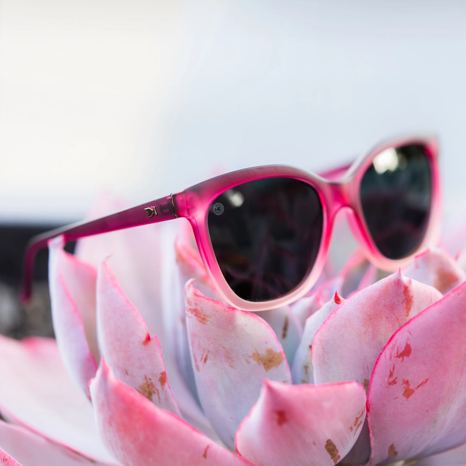 Spanish Rose Deja Views - Image 2